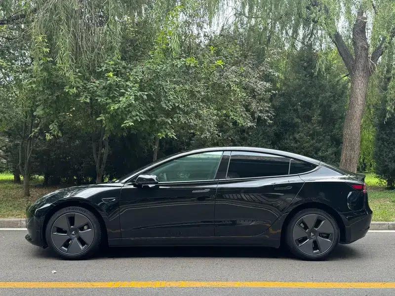 Model 3 2022 Rear-Wheel Drive — миниатюра 4