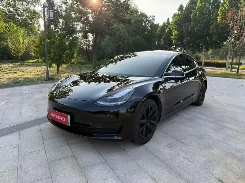 Model 3 2020 Standard Range Rear-Wheel Drive Upgrade — миниатюра 1