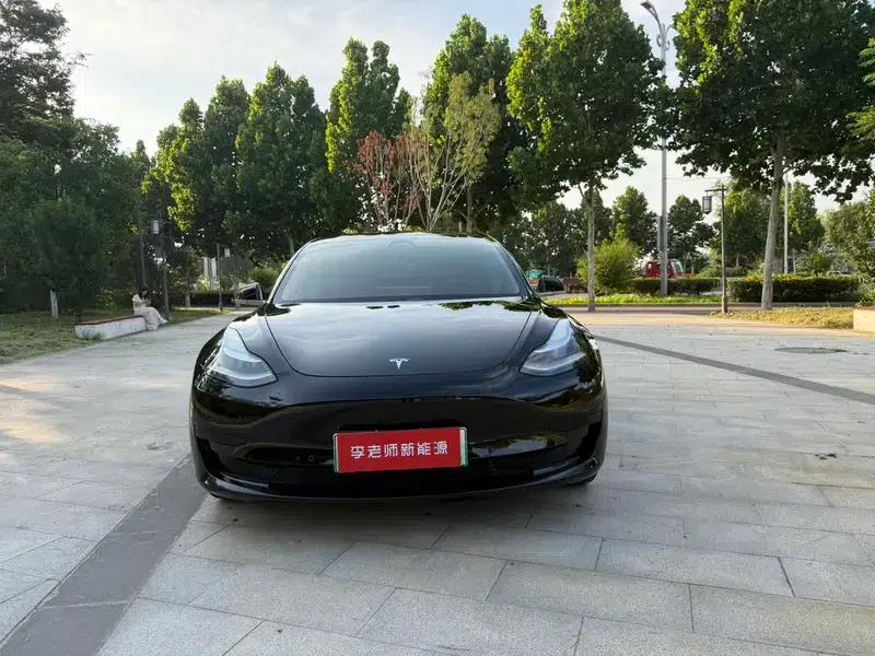 Model 3 2020 Standard Range Rear-Wheel Drive Upgrade — миниатюра 2
