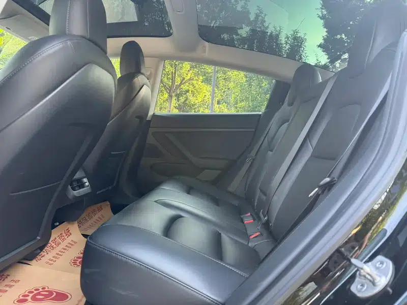 Model 3 2020 Standard Range Rear-Wheel Drive Upgrade — миниатюра 12