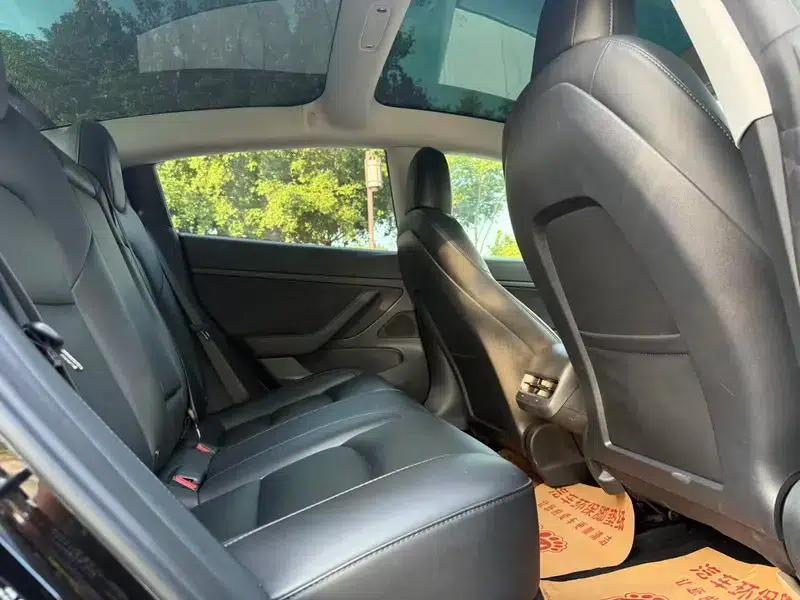 Model 3 2020 Standard Range Rear-Wheel Drive Upgrade — миниатюра 13