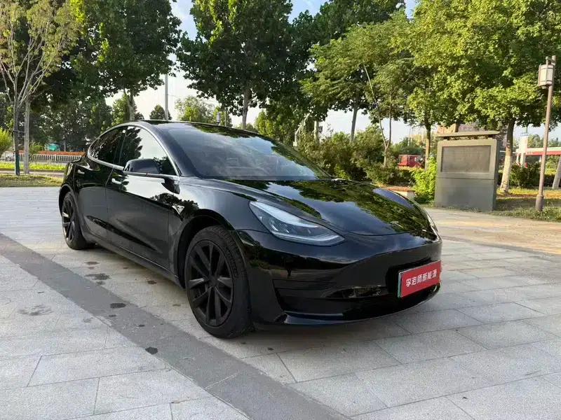 Model 3 2020 Standard Range Rear-Wheel Drive Upgrade — миниатюра 3
