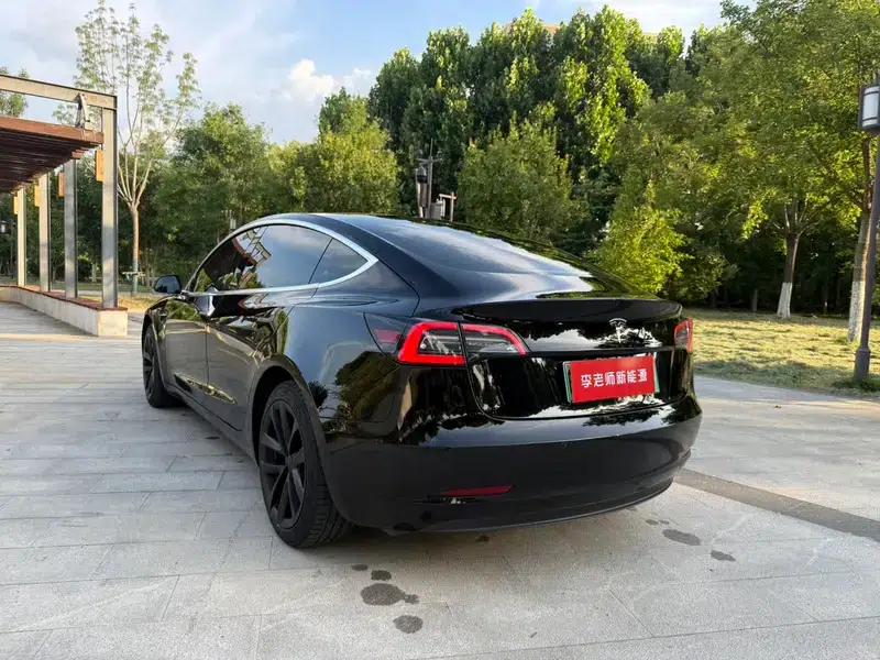 Model 3 2020 Standard Range Rear-Wheel Drive Upgrade — миниатюра 5