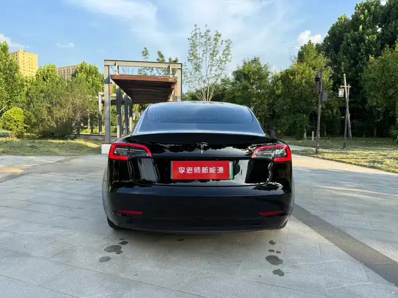 Model 3 2020 Standard Range Rear-Wheel Drive Upgrade — миниатюра 6