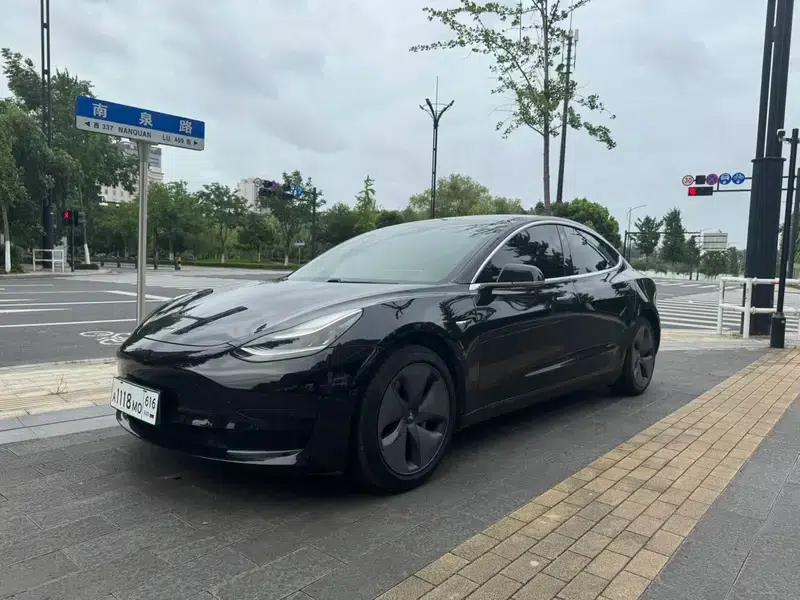 Model 3 2019 Standard Range Rear-Wheel Drive Upgrade — миниатюра 1