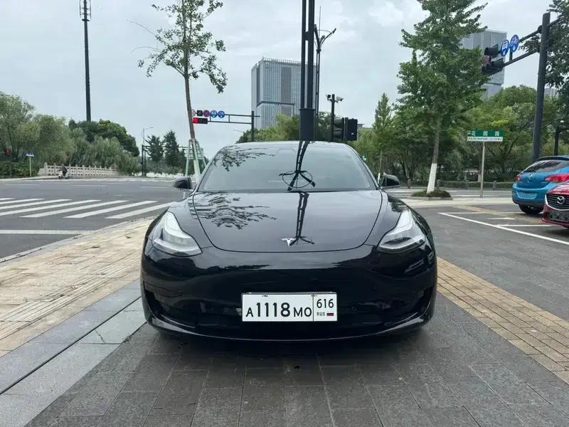 Model 3 2019 Standard Range Rear-Wheel Drive Upgrade — миниатюра 2