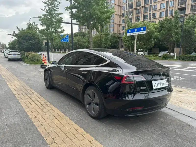 Model 3 2019 Standard Range Rear-Wheel Drive Upgrade — миниатюра 4