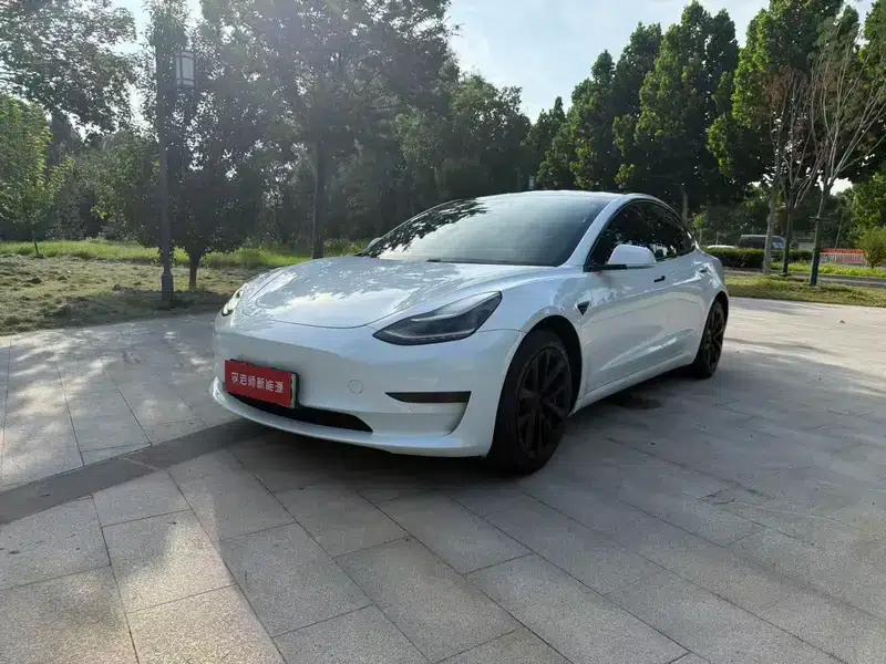 Model 3 2020 Standard Range Rear-Wheel Drive Upgrade — миниатюра 1