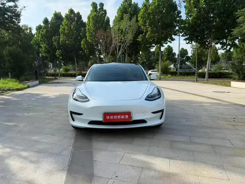 Model 3 2020 Standard Range Rear-Wheel Drive Upgrade — миниатюра 2