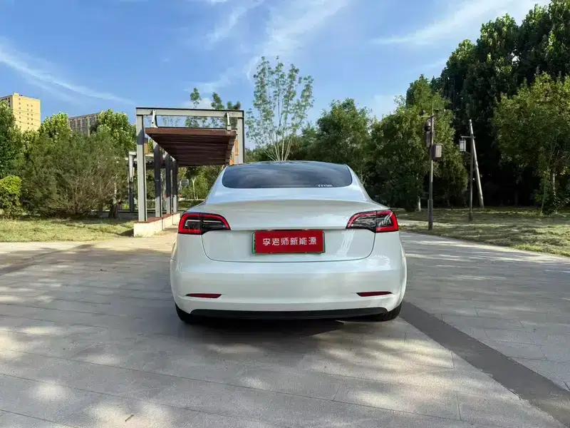 Model 3 2020 Standard Range Rear-Wheel Drive Upgrade — миниатюра 6