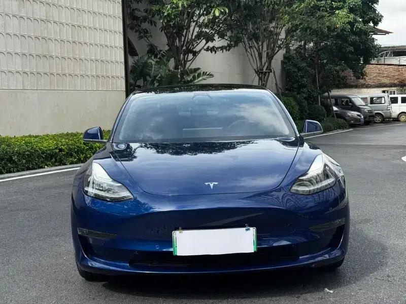 Model 3 2020 Long Range Rear-Wheel Drive — миниатюра 2