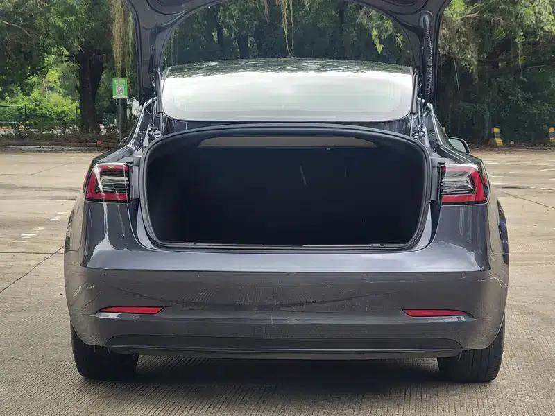 Model 3 2019 Standard Range Rear-Wheel Drive Upgrade — миниатюра 15