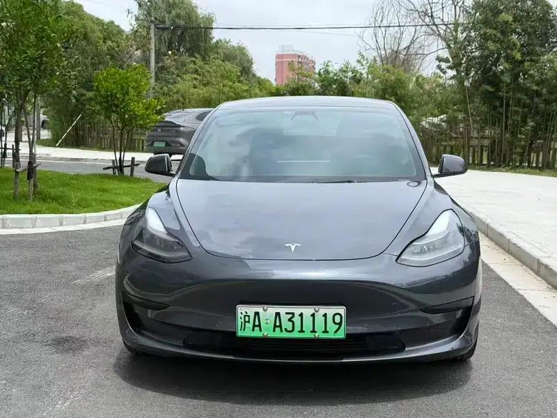 Model 3 2021 Standard Range Rear-Wheel Drive Upgrade 3D6 — миниатюра 2