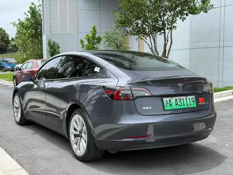 Model 3 2021 Standard Range Rear-Wheel Drive Upgrade 3D6 — миниатюра 3