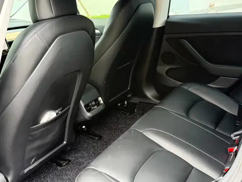 Model 3 2021 Standard Range Rear-Wheel Drive Upgrade 3D6 — миниатюра 9
