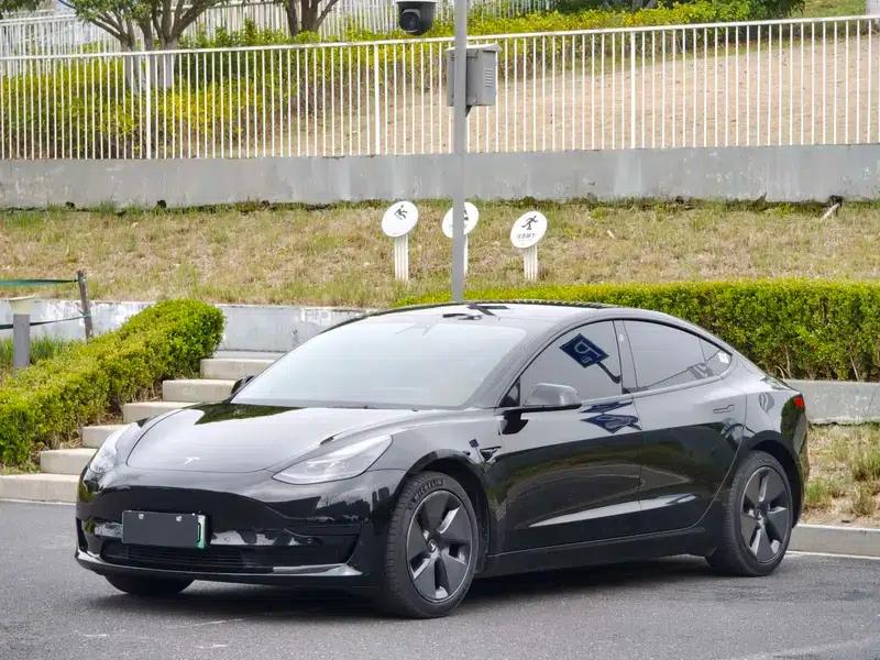 Model 3 2021 Standard Range Rear-Wheel Drive Upgrade 3D6 — миниатюра 1