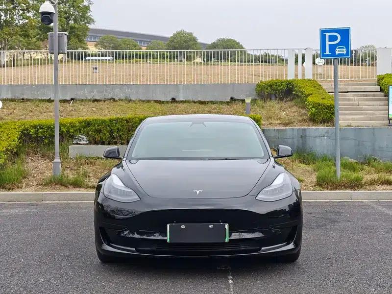 Model 3 2021 Standard Range Rear-Wheel Drive Upgrade 3D6 — миниатюра 2