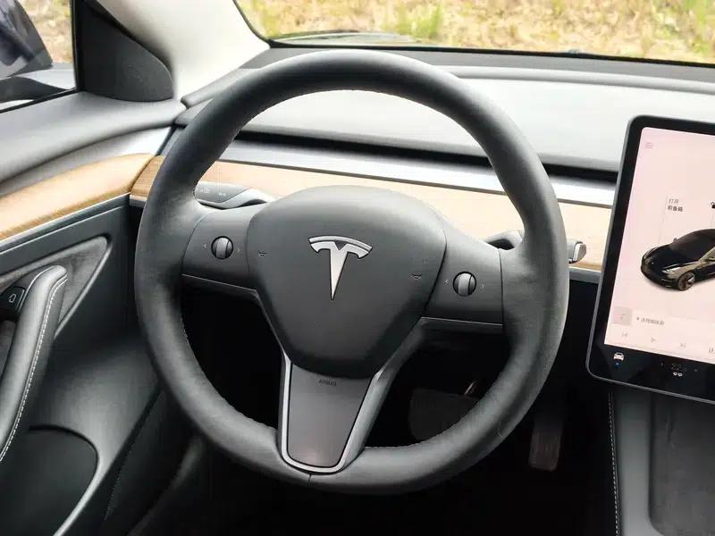 Model 3 2021 Standard Range Rear-Wheel Drive Upgrade 3D6 — миниатюра 11