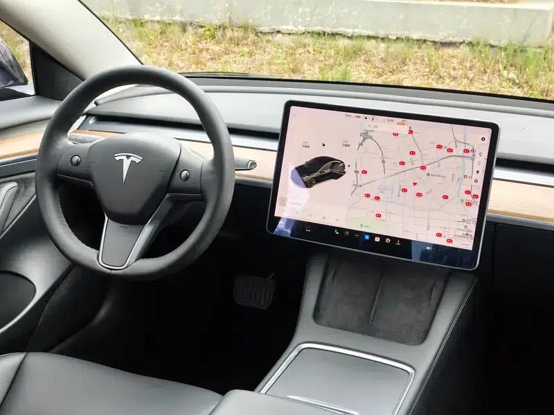 Model 3 2021 Standard Range Rear-Wheel Drive Upgrade 3D6 — миниатюра 12