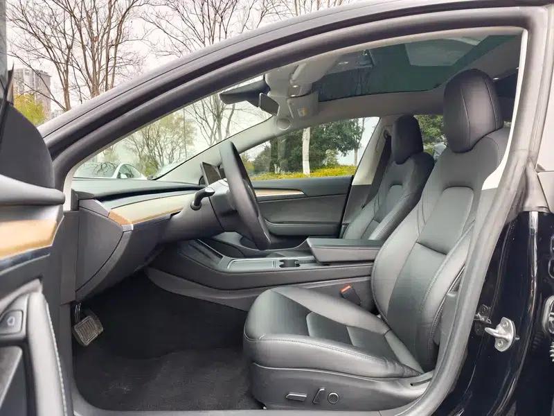 Model 3 2021 Standard Range Rear-Wheel Drive Upgrade 3D6 — миниатюра 13