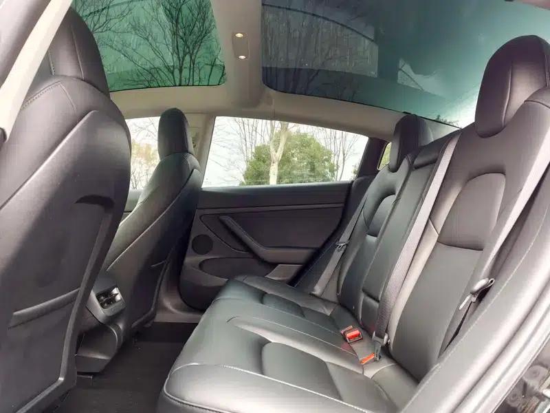 Model 3 2021 Standard Range Rear-Wheel Drive Upgrade 3D6 — миниатюра 14
