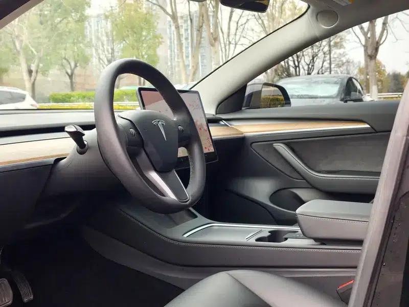 Model 3 2021 Standard Range Rear-Wheel Drive Upgrade 3D6 — миниатюра 15
