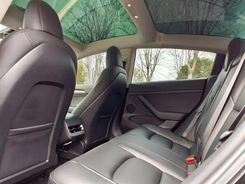 Model 3 2021 Standard Range Rear-Wheel Drive Upgrade 3D6 — миниатюра 16