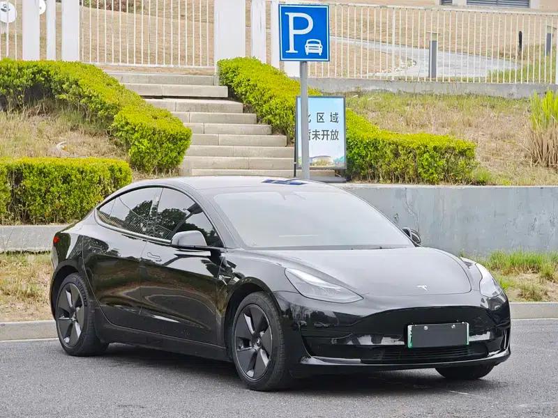 Model 3 2021 Standard Range Rear-Wheel Drive Upgrade 3D6 — миниатюра 3