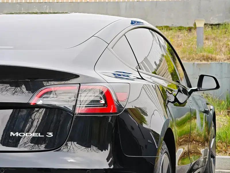 Model 3 2021 Standard Range Rear-Wheel Drive Upgrade 3D6 — миниатюра 8