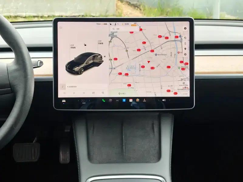 Model 3 2021 Standard Range Rear-Wheel Drive Upgrade 3D6 — миниатюра 10