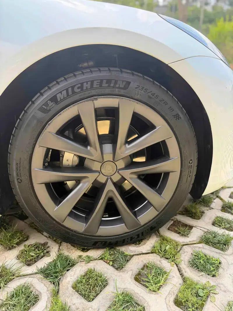 Model 3 2023 Rear-Wheel Drive — миниатюра 9