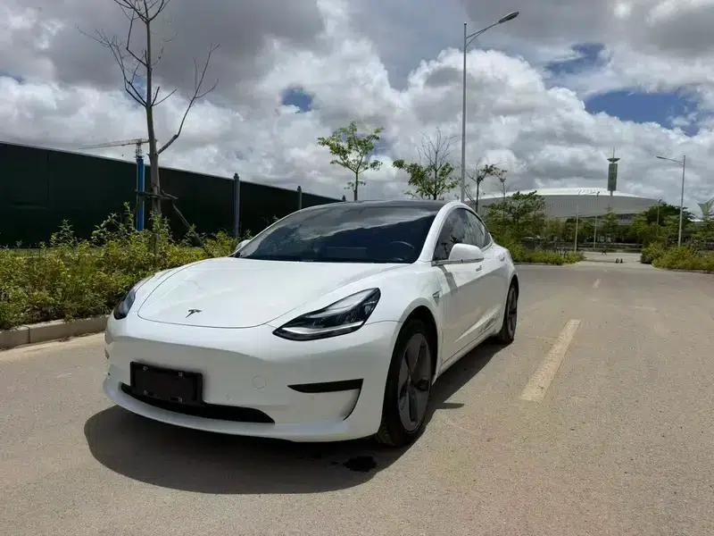 Model 3 2020 Standard Range Rear-Wheel Drive Upgrade — миниатюра 1
