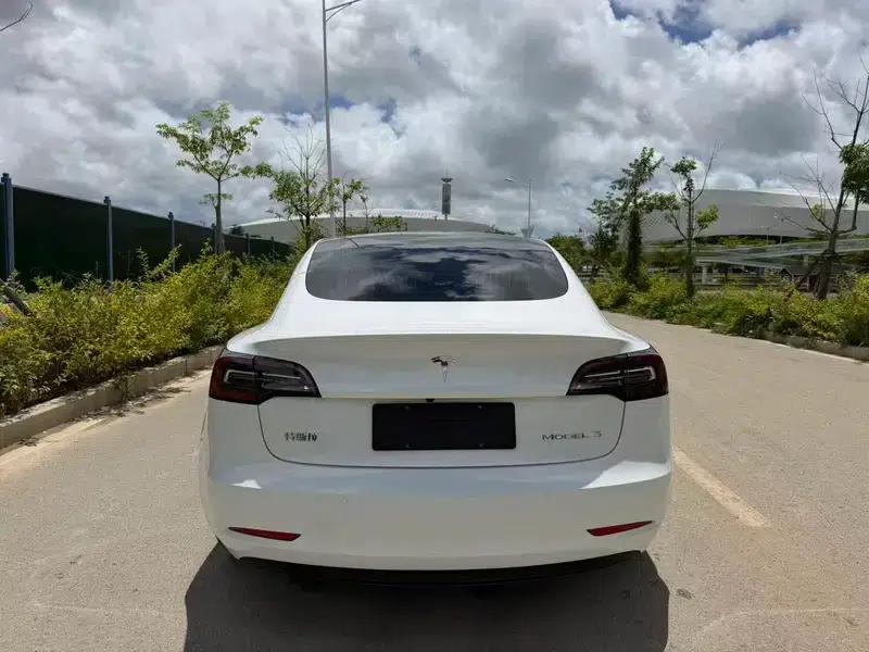 Model 3 2020 Standard Range Rear-Wheel Drive Upgrade — миниатюра 3