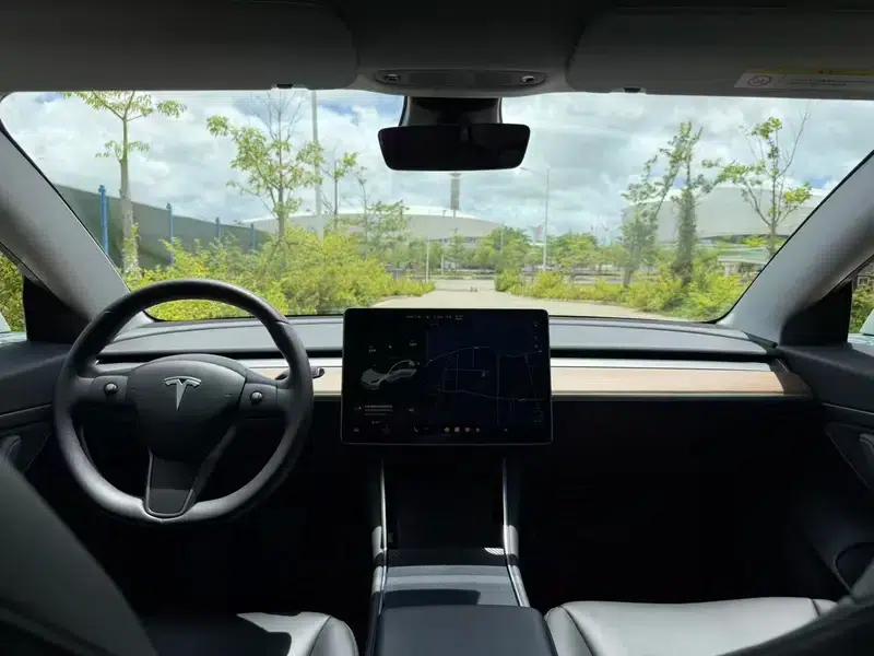 Model 3 2020 Standard Range Rear-Wheel Drive Upgrade — миниатюра 8