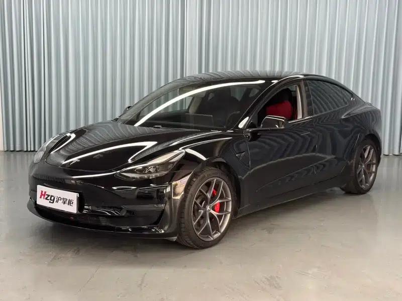 Model 3 2021 Performance All-Wheel Drive 3D3/3D6 — миниатюра 1