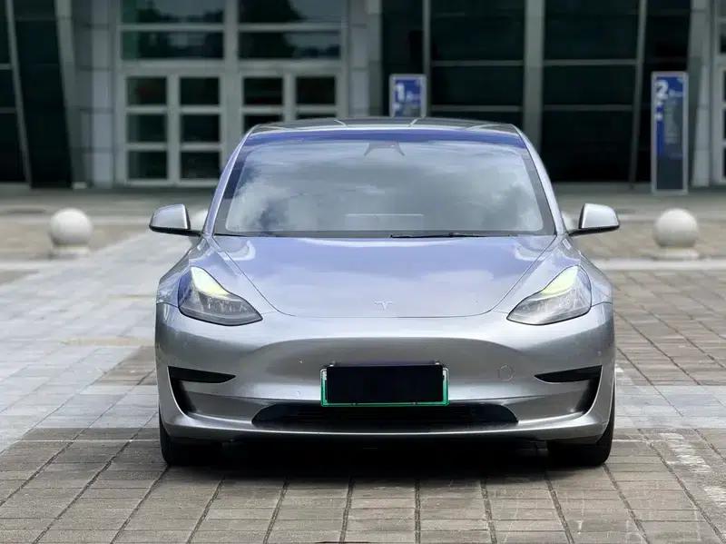 Model 3 2021 Standard Range Rear-Wheel Drive Upgrade 3D6 — миниатюра 2