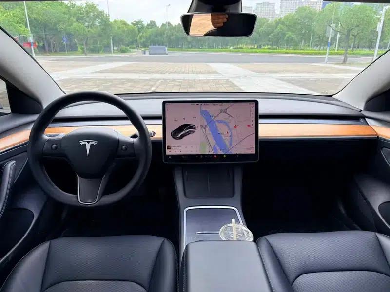 Model 3 2021 Standard Range Rear-Wheel Drive Upgrade 3D6 — миниатюра 7