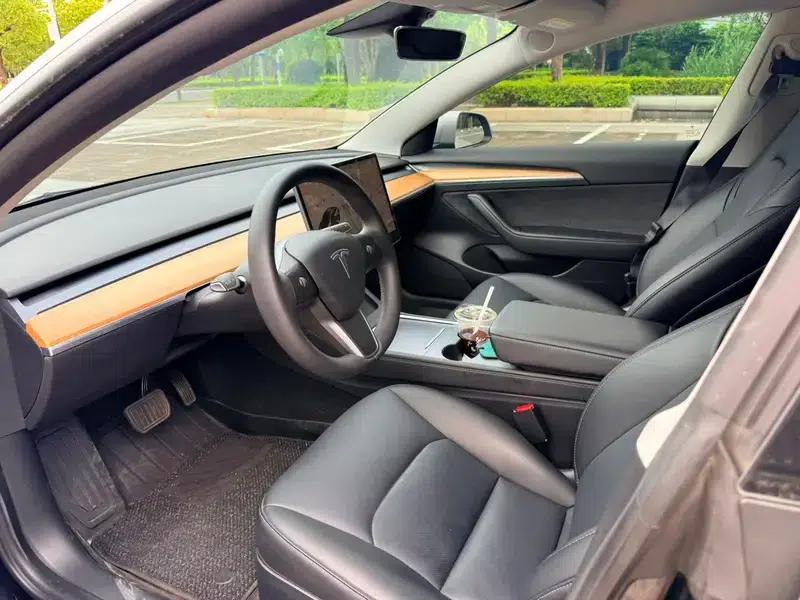 Model 3 2021 Standard Range Rear-Wheel Drive Upgrade 3D6 — миниатюра 8