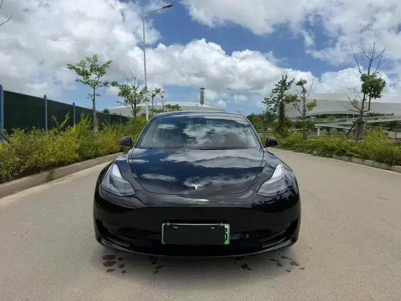 Model 3 2022 Rear-Wheel Drive — миниатюра 2