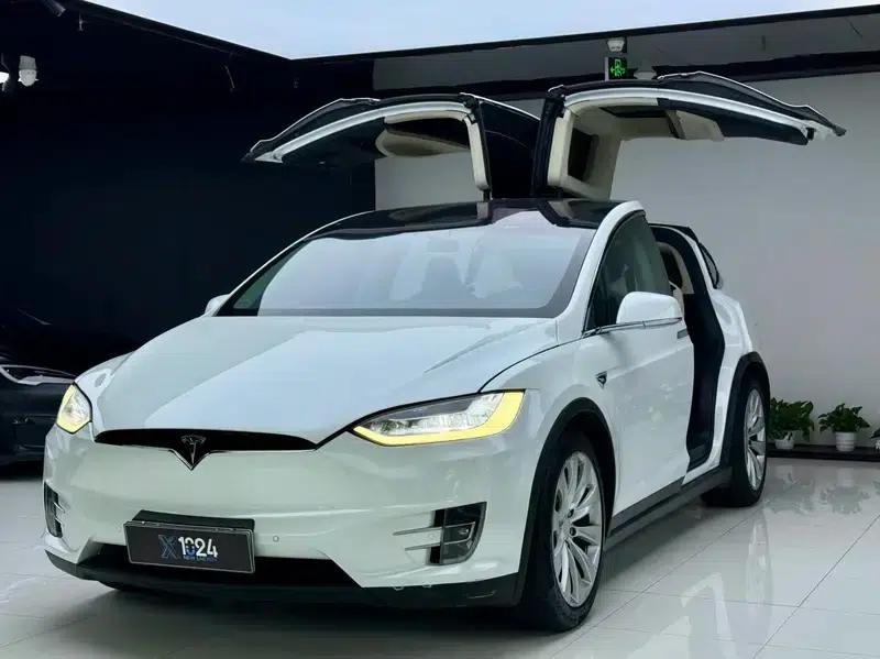 Model X 2017 100D Long Range — миниатюра 1