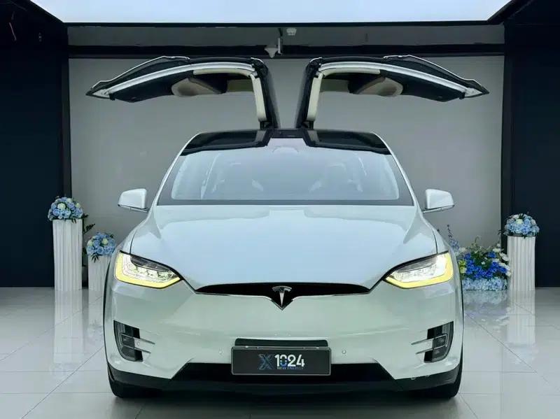 Model X 2017 100D Long Range — миниатюра 2