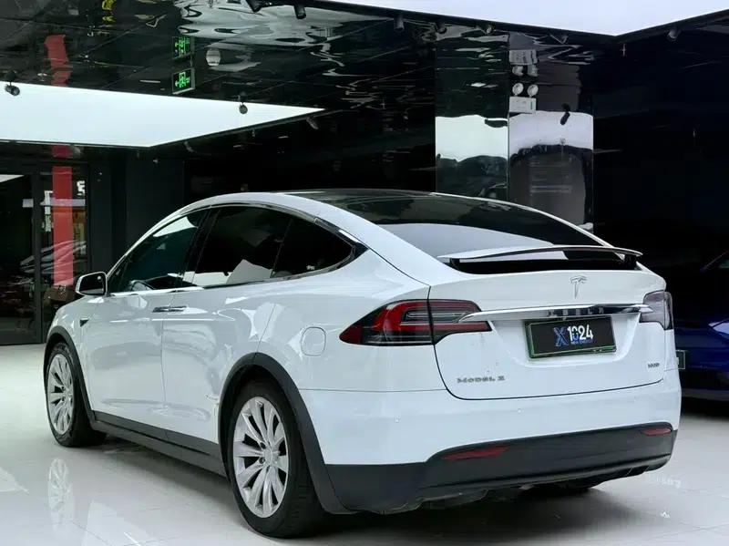 Model X 2017 100D Long Range — миниатюра 4