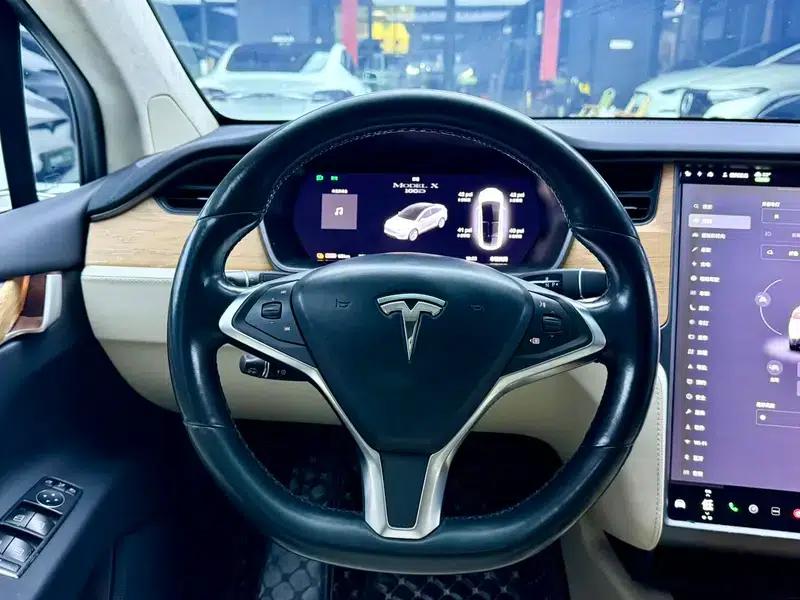 Model X 2017 100D Long Range — миниатюра 9