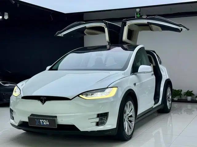 Model X 2017 100D Long Range