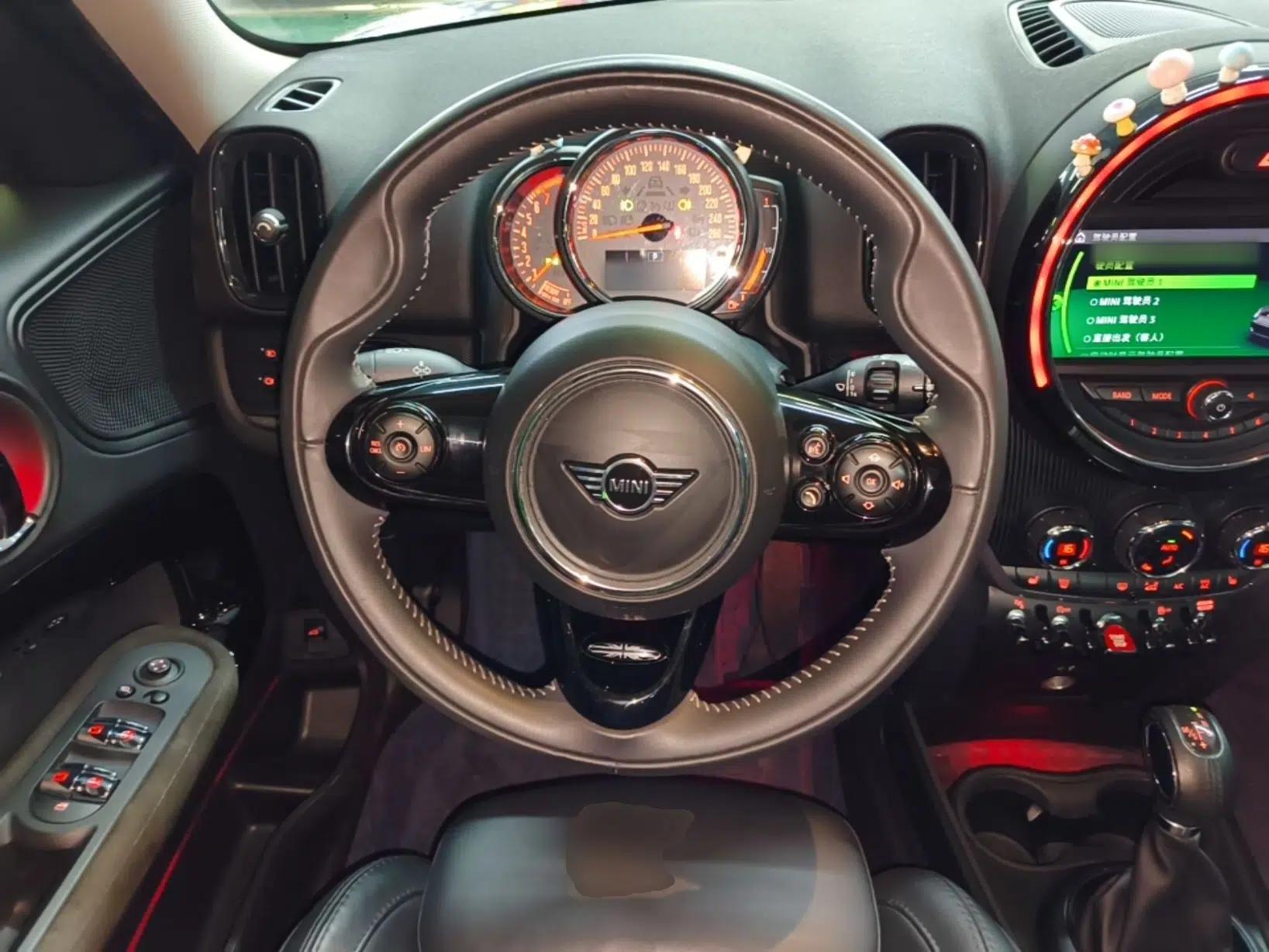 MINI Countryman 2018 2.0T COOPER S ALL4 Artist — миниатюра 18