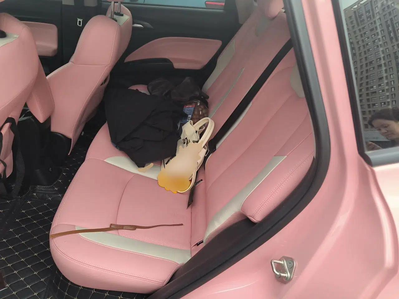 NETA V 2022 Chao 400 Lite Pink Custom Edition — миниатюра 17