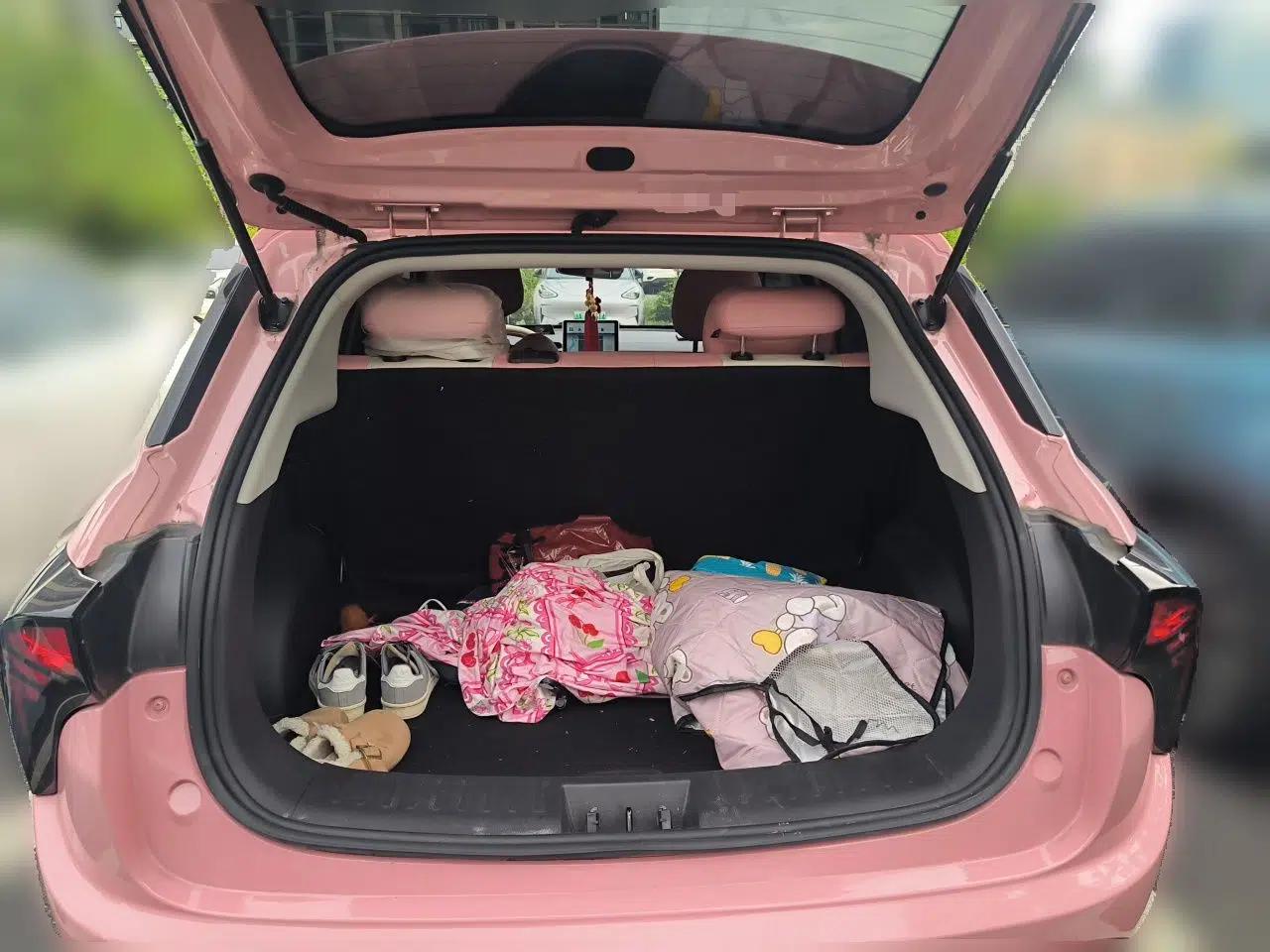 NETA V 2022 Chao 400 Lite Pink Custom Edition — миниатюра 19