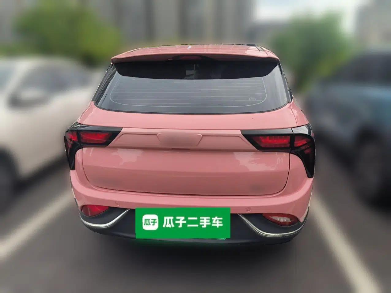 NETA V 2022 Chao 400 Lite Pink Custom Edition — миниатюра 5