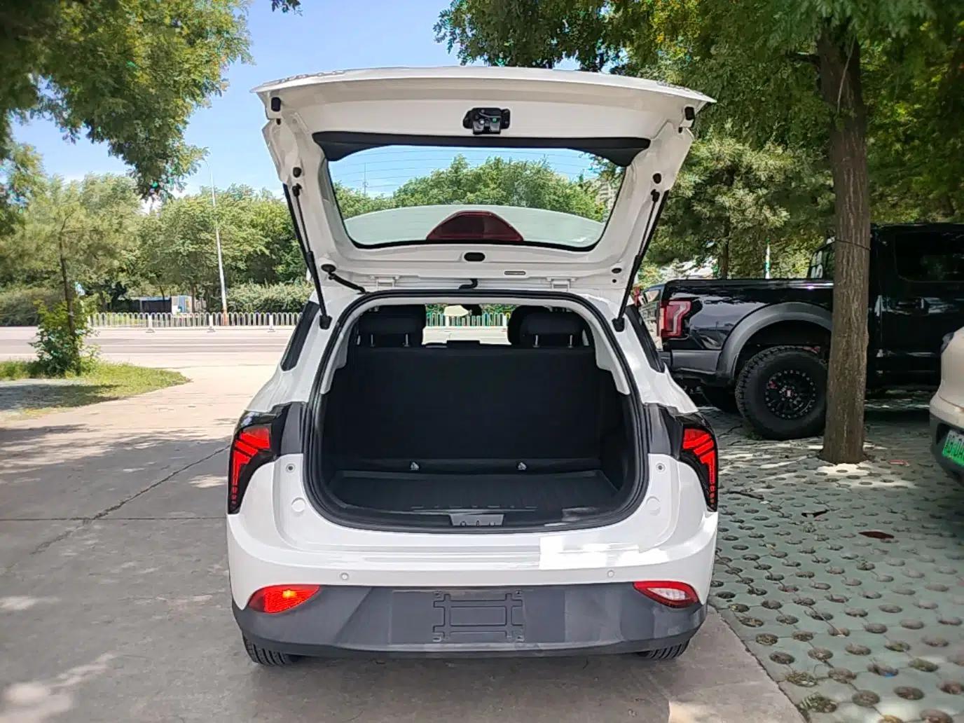 NETA V 2021 Standard Range Entertainment Version – Upgraded Model — миниатюра 22