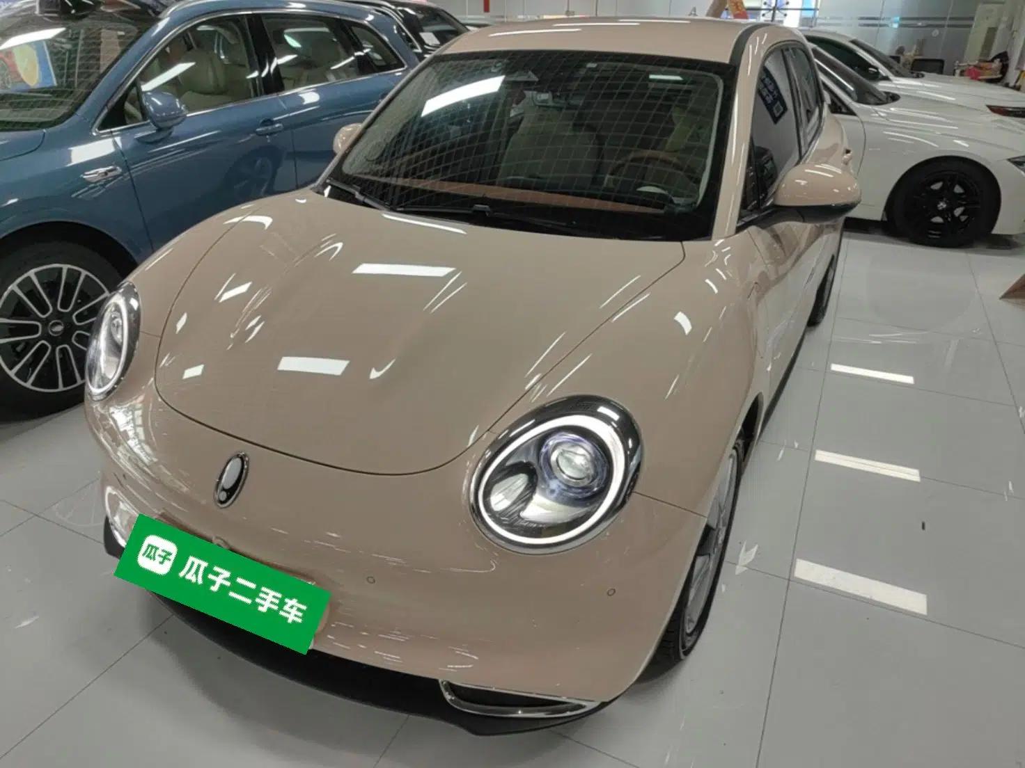 ORA Good Cat 2023 401 km Standard Range Luxury Version Lithium Iron Phosphate — миниатюра 1